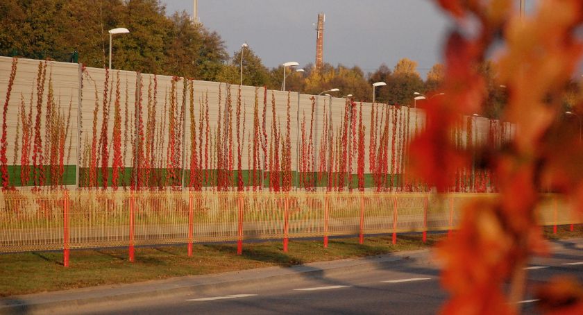 Na ekranach akustycznych pojawiły się pnącza chroniące dodatkowo przed kurzem i hałasem