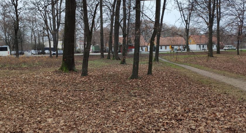 Park Lubomirskich straci 27 drzew, one będą wycięte. Inne przejdą cięcia pielęgnacyjne