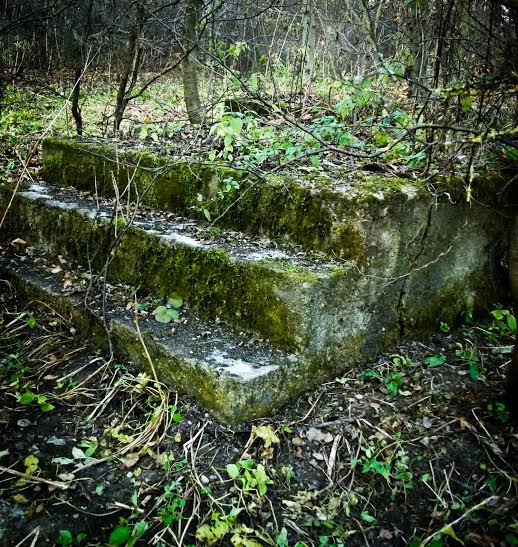 Natura znajdzie drogę – konkurs fotograficzny