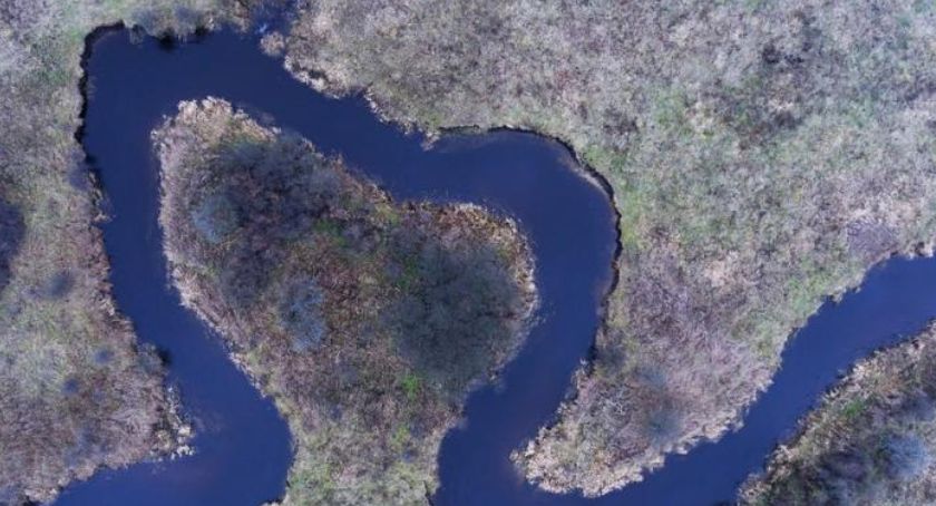 Leśnicy chcą poprawić sytuację hydrologiczną w Puszczy Białowieskiej