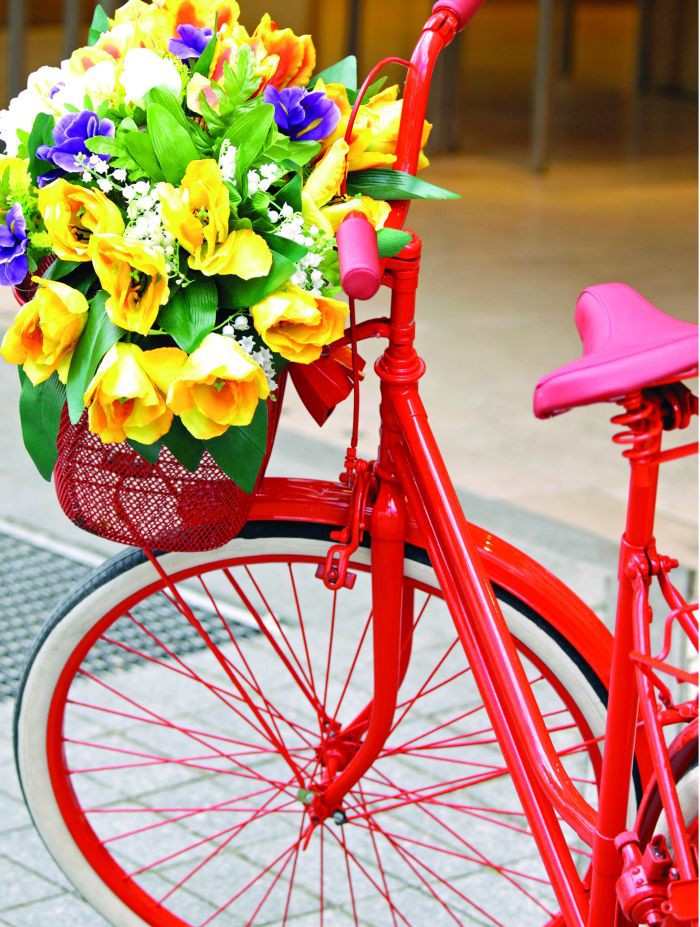 Rowerowy Białystok 