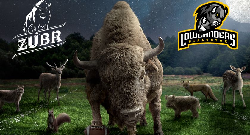Wsparcie Lowlandersów tak mocne jak Żubr