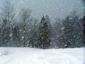 Podlaska baba, odc. 6: Wiatr wieje tym razem z Zachodu