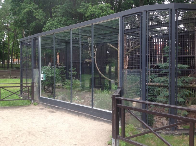 Ryś, kozy karłowate i puszczyk z białostockiego ZOO będą miały nowe domy