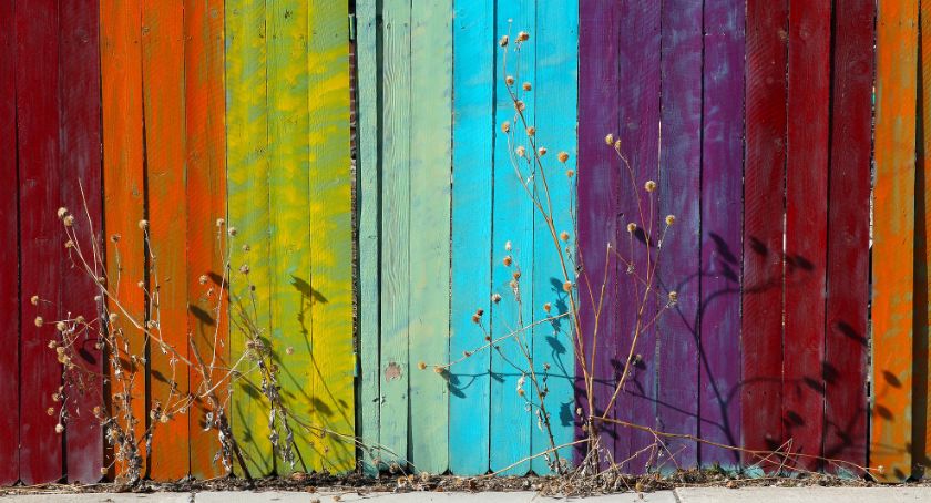 Czy polskie szkoły pozostaną wolne od ideologii LGBT? Minister edukacji twierdzi, że to sprawa rodziców