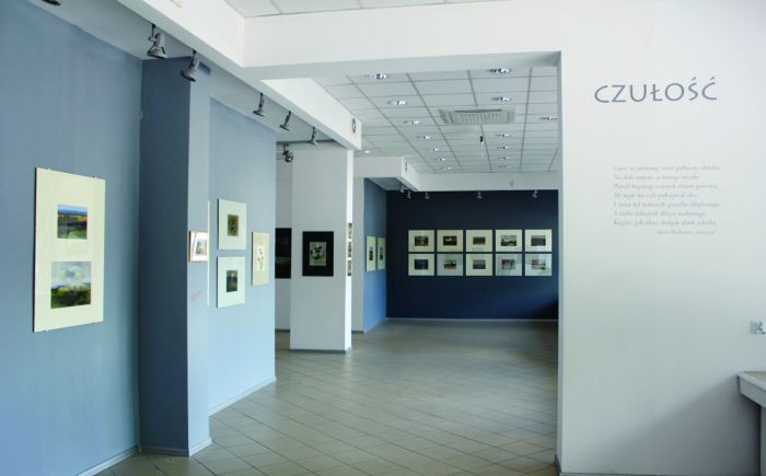 Zidentyfikowany obiekt artystyczny  — galeria imienia Śleńdzińskich