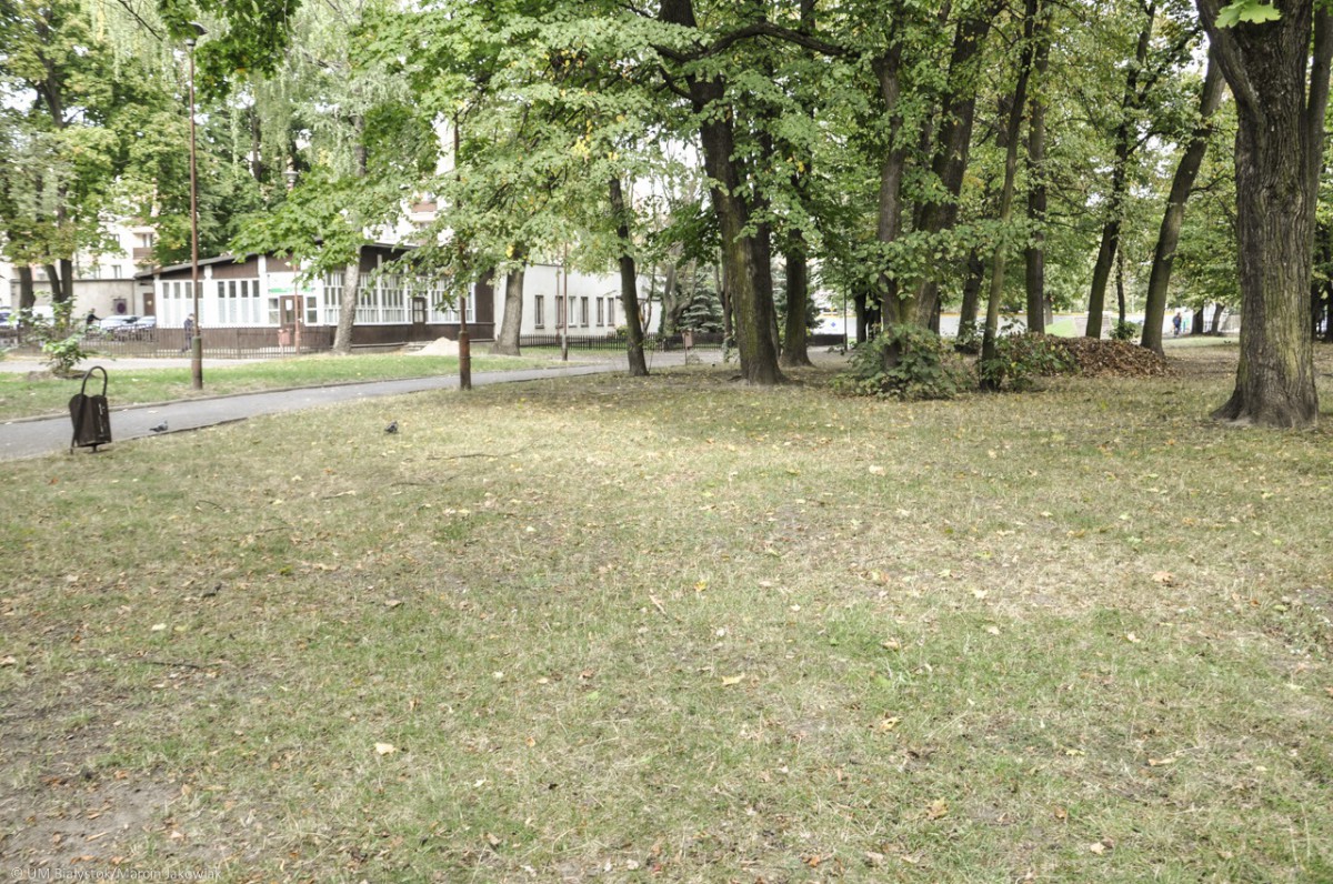 Siłownia zewnętrzna w Ogródku Jordanowskim