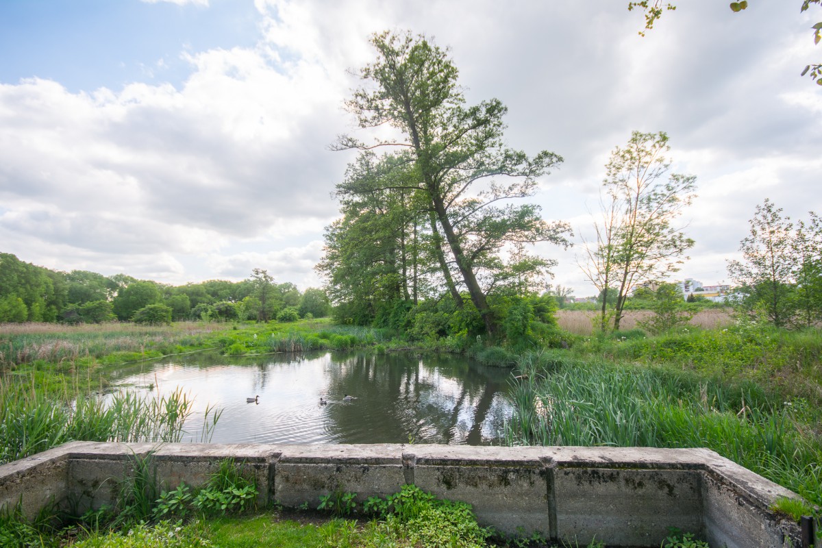 Krematorium nie będzie. Funkcjonować ma jedynie zakład pogrzebowy