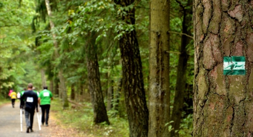 Puszcza Białowieska najlepszym miejscem na nordic walking