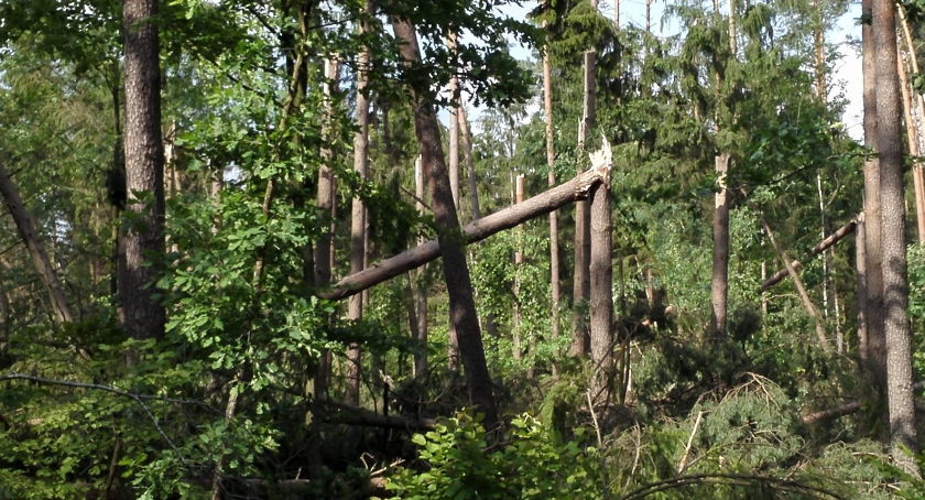 Jeszcze długo będą usuwane skutki letnich nawałnic