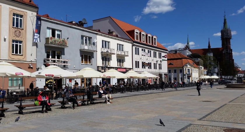 Zatrzęsienie zgłoszeń na platformie CiTTy