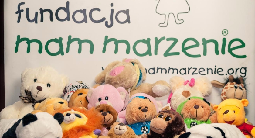 Pluszaki na Dzień Pluszowego Misia. Zbiórka trwa