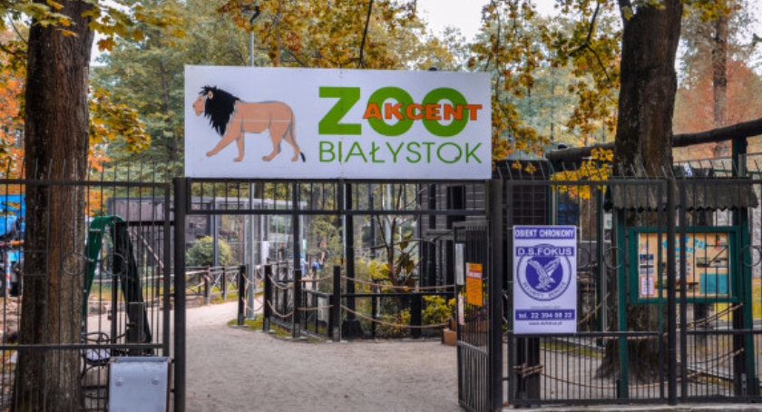 Niewidomi też zobaczą bialostocki akcent ZOO