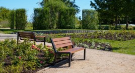 Mieszkańcy chcieli mieć pod blokami park botaniczny.&hellip;
