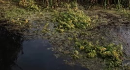 Rytuały związane z wodą wciąż pielęgnowane