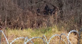 Strażnicy graniczni interweniowali minionej doby 9 razy wobec nielegalnych migrantów