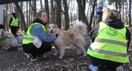 Wolontariusze wybrali się z pupilami na Psie Wagary