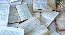 Trwają poszukiwania najlepszych literatów