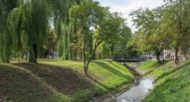 Nowoczesne miasta wyznacza ilość zieleni, a nie beto&hellip;
