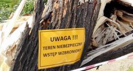 W Nadleśnictwie Hajnówka wciąż jest zakaz wstępu do lasu