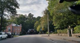 Cała Puszcza Białowieska ma być Parkiem Narodowym, a&hellip;