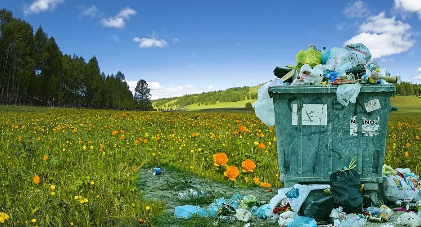 W niedzielę sprzątanie lasu Olszynki Grochowskiej