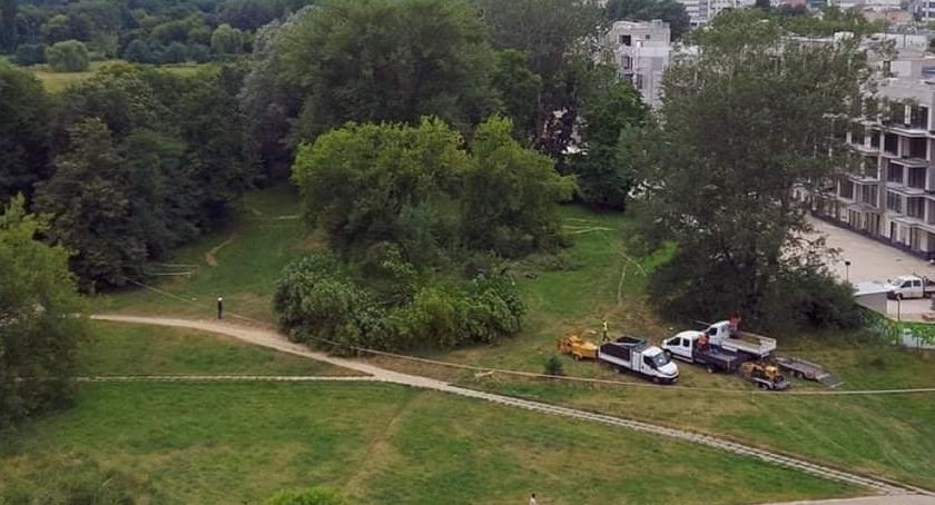 Wycinają drzewa w Parku Skaryszewskim [ZDJĘCIA]