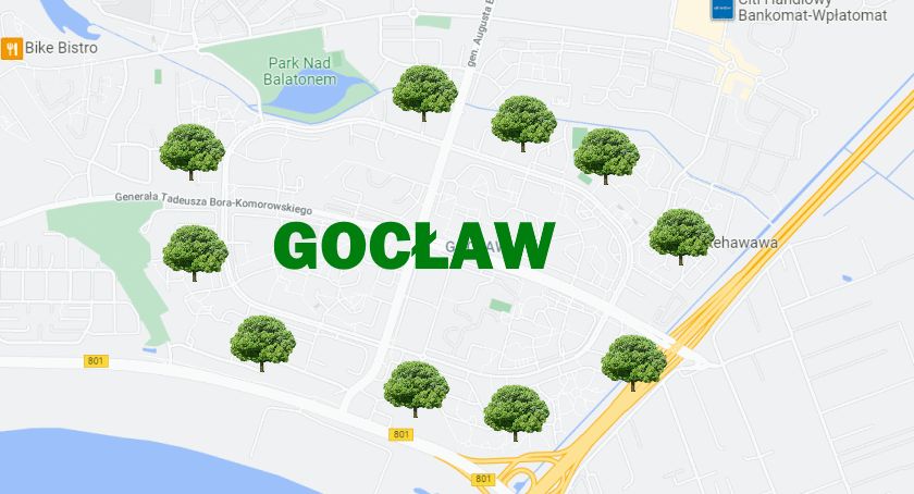 Będzie ponad 200 drzew na tzw. obwodnicy Gocławia