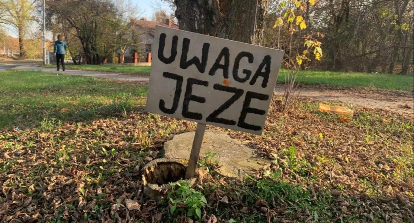 Uwaga Jeże! – na Pradze-Południe. Międzynarodowy Dzień Jeża