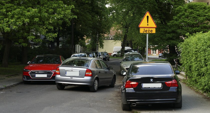 Inne niebezpieczeństwo jeże