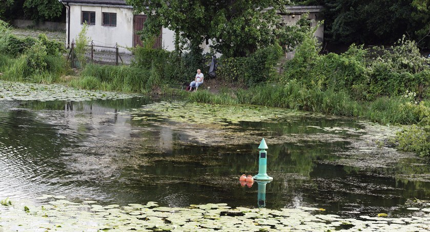 Spółka Wodna nad Jeziorem Kamionkowskim