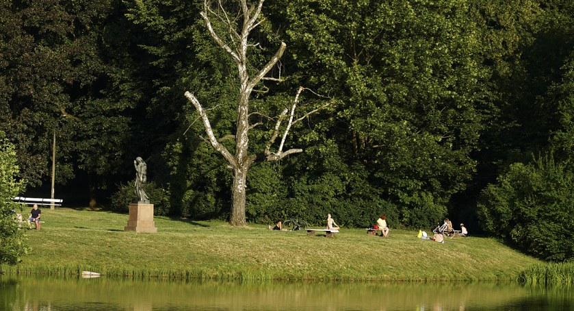 Park Skaryszewski i koszenie trawy