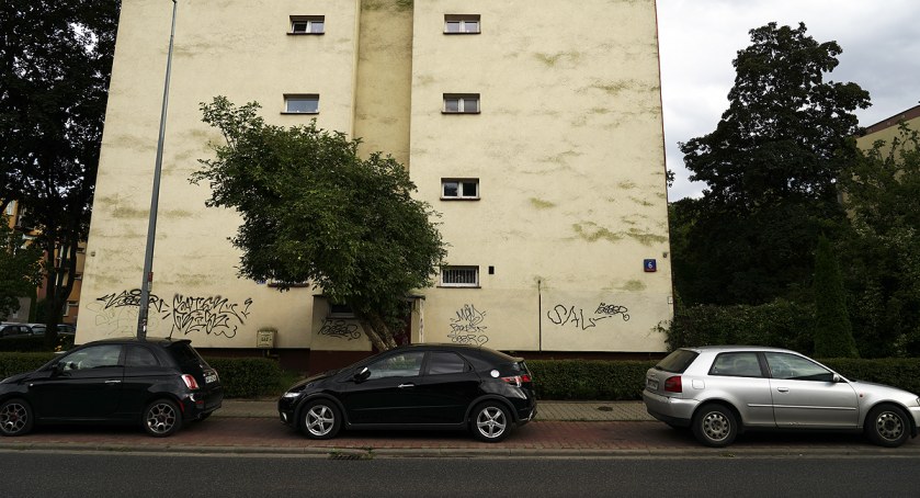 Brazylijskie klimaty na ulicy Brazylijskiej