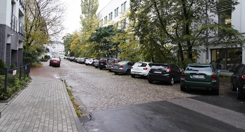 Kocie łby na ulicy Kałuszyńskiej