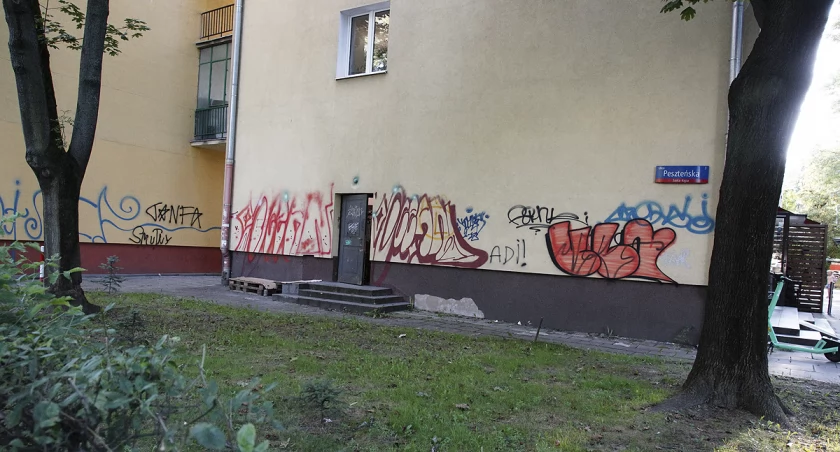 Strefa Czystego Transportu a wybory samorządowe