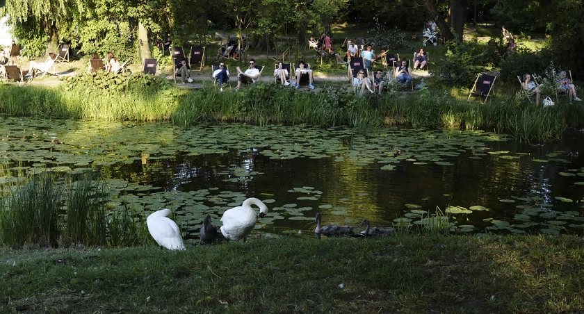 Park Skaryszewski i wspomnienie lata