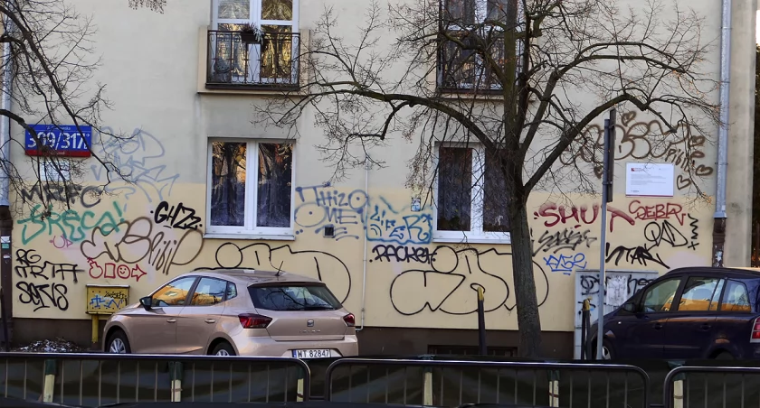 Kamionek okiem wyborcy