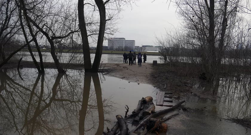 Saska Kępa i wysoka fala