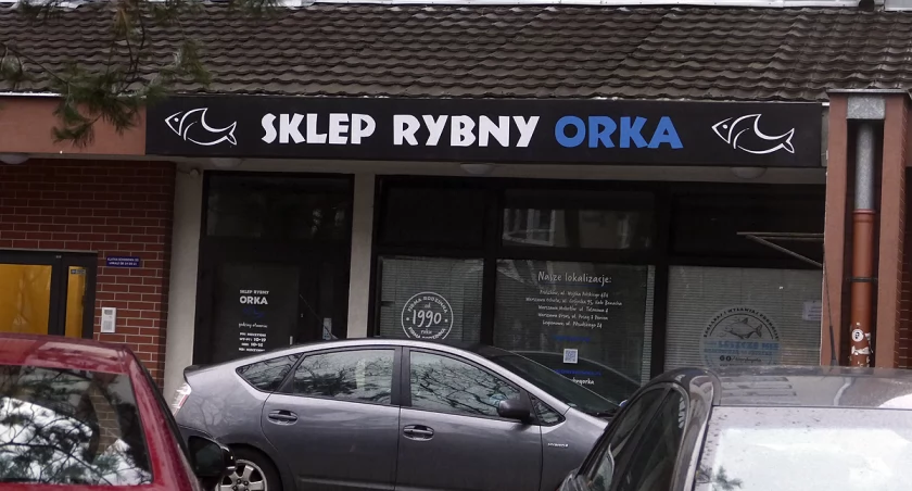 Orka z Saskiej Kępy