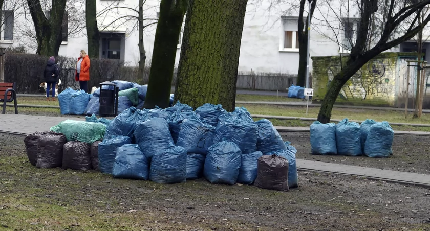 Spakowana Saska Kępa