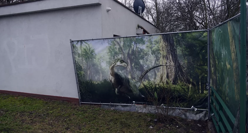 Głośne ryki przy Wale Miedzeszyńskim