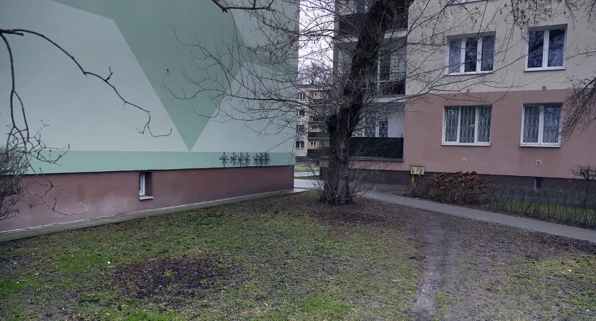 Siedem gwiazdek z Saskiej Kępy