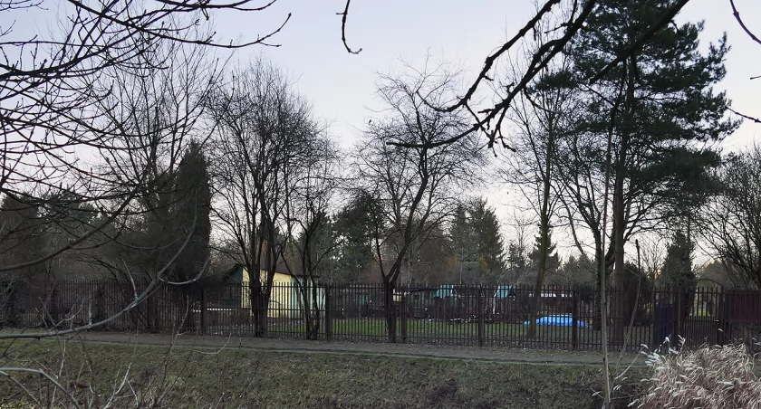 Rodzinne ogrody działkowe przy ulicy Waszyngtona okiem aktywisty