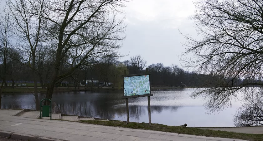 Mądre dokarmianie ptaków na Kamionku
