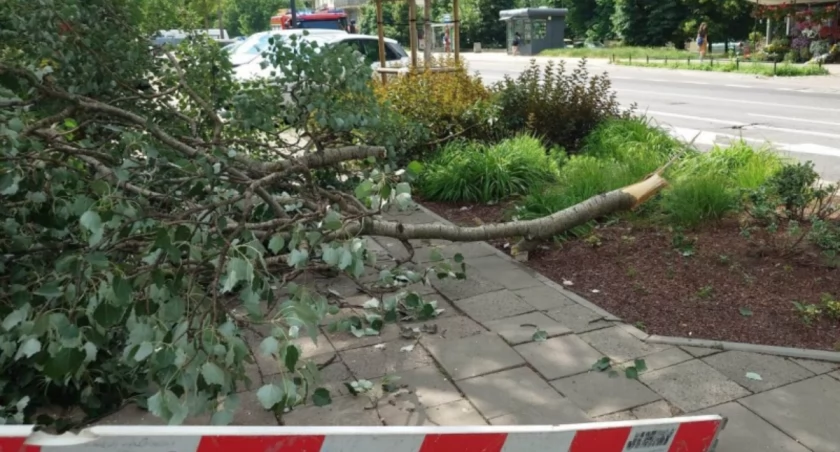 Krajobraz po burzy - bywa niebezpiecznie...