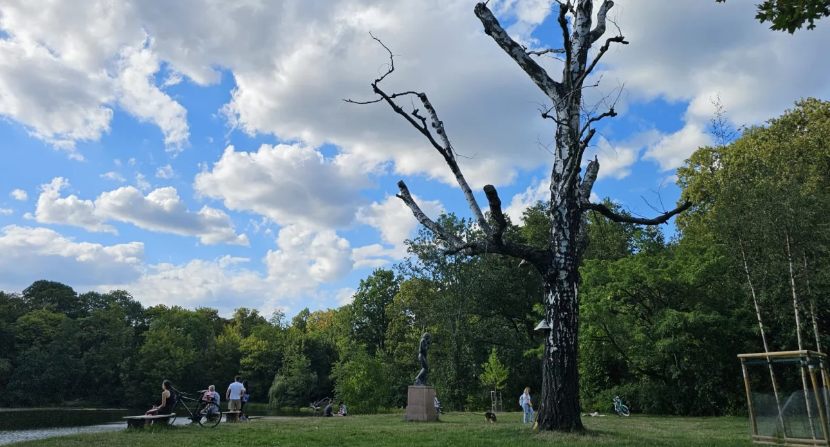 Park Skaryszewski im. I.J.Paderewskiego czyli najpiękniejsza oaza zieleni w mieście (ZDJĘCIA)