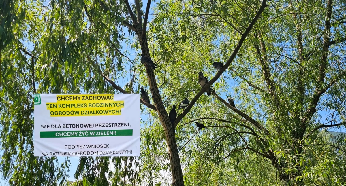 Znikną ogródki działkowe?