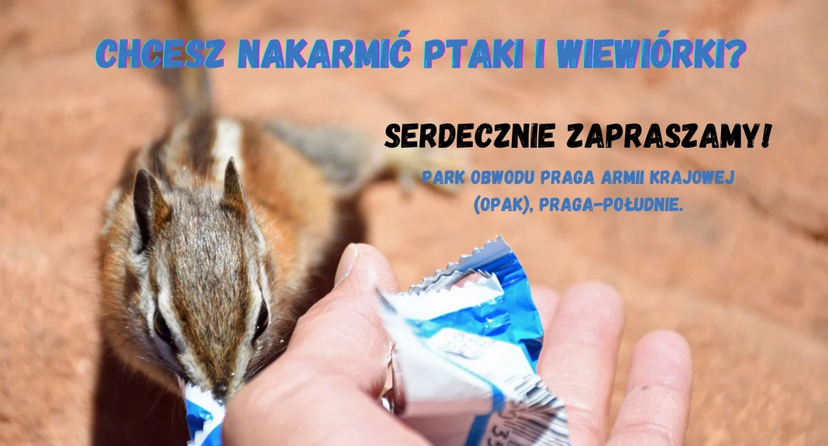 Zimowe dokarmianie ptaków i wiewiórek na Pradze-Południe!