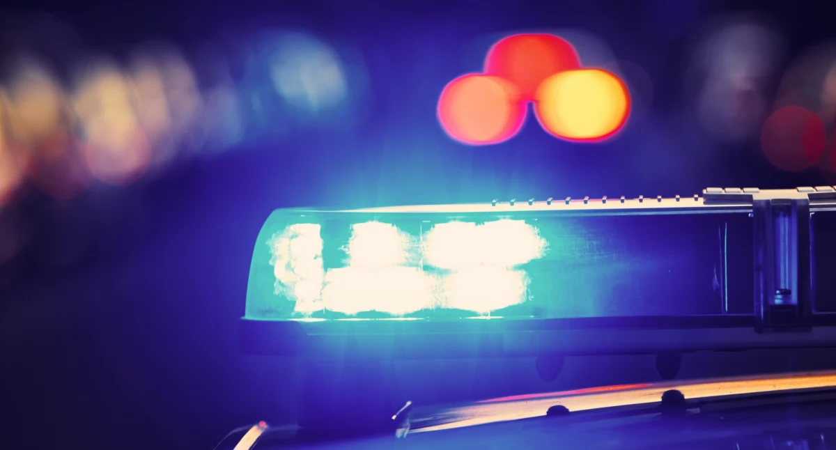 Łowcy cieni i czeska policja: skuteczna współpraca w walce z przestępczością zorganizowaną