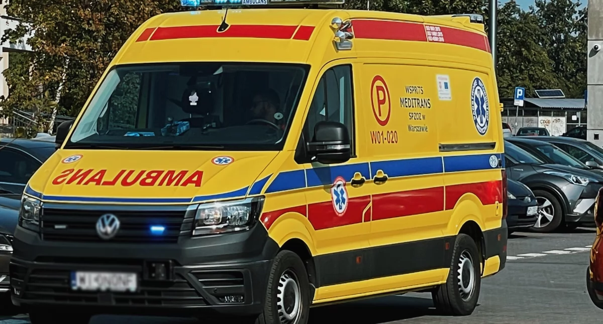 Dzik zaatakował kobietę, dramat na Pradze. Wiemy, jaki jest jej stan